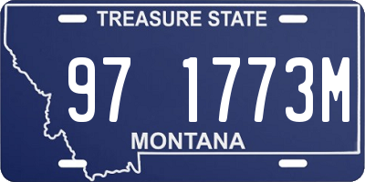 MT license plate 971773M