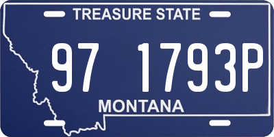 MT license plate 971793P