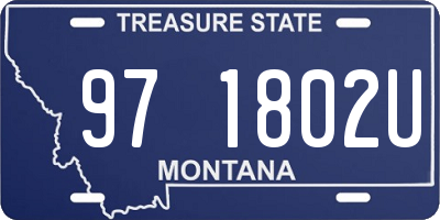 MT license plate 971802U