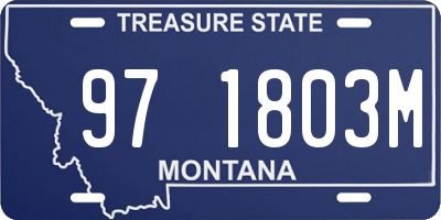 MT license plate 971803M
