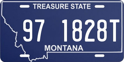MT license plate 971828T