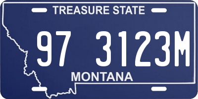 MT license plate 973123M