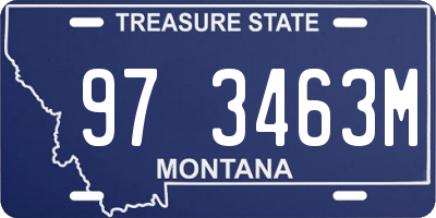 MT license plate 973463M