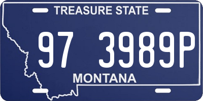 MT license plate 973989P