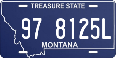 MT license plate 978125L
