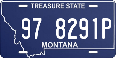 MT license plate 978291P