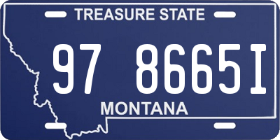 MT license plate 978665I