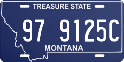 MT license plate 979125C