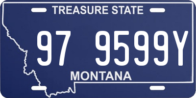 MT license plate 979599Y