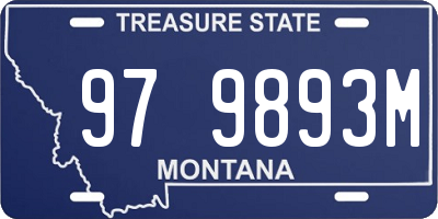 MT license plate 979893M