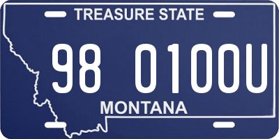 MT license plate 980100U