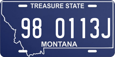 MT license plate 980113J