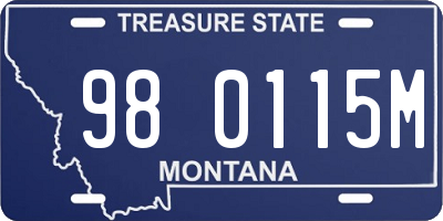 MT license plate 980115M