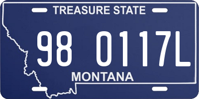 MT license plate 980117L