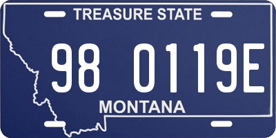 MT license plate 980119E