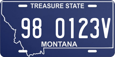 MT license plate 980123V