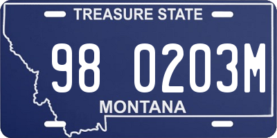 MT license plate 980203M