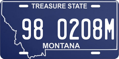 MT license plate 980208M