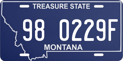 MT license plate 980229F