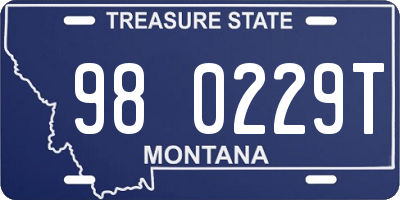 MT license plate 980229T