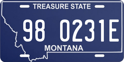 MT license plate 980231E