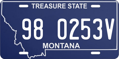 MT license plate 980253V
