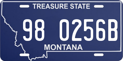 MT license plate 980256B
