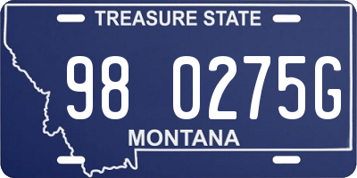 MT license plate 980275G