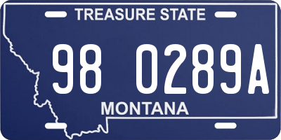 MT license plate 980289A