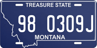 MT license plate 980309J