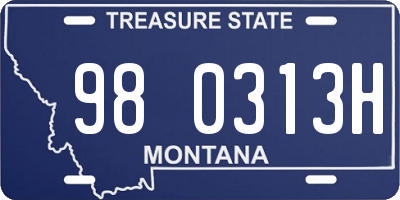 MT license plate 980313H