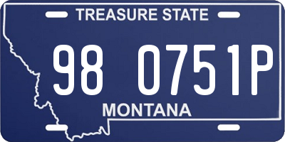 MT license plate 980751P