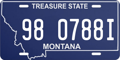 MT license plate 980788I