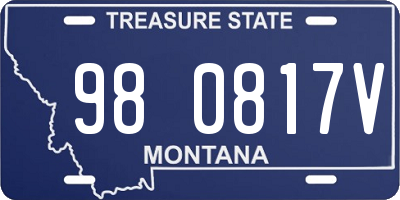 MT license plate 980817V