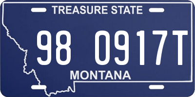 MT license plate 980917T
