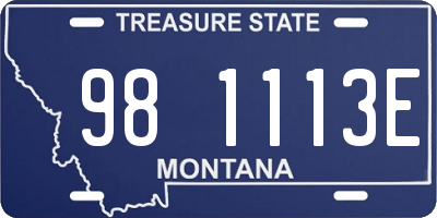 MT license plate 981113E
