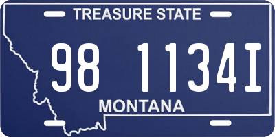 MT license plate 981134I