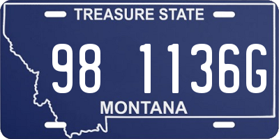 MT license plate 981136G