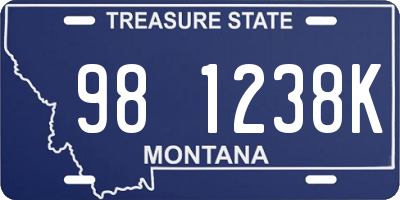 MT license plate 981238K