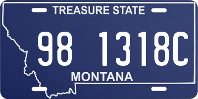 MT license plate 981318C