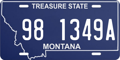 MT license plate 981349A