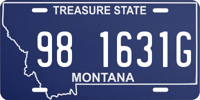 MT license plate 981631G