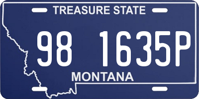MT license plate 981635P
