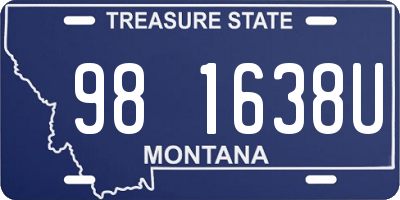 MT license plate 981638U