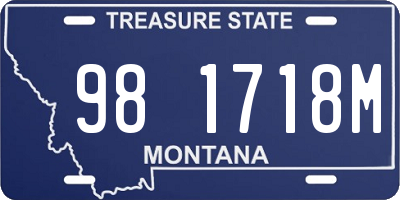 MT license plate 981718M