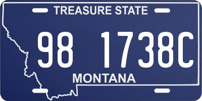 MT license plate 981738C