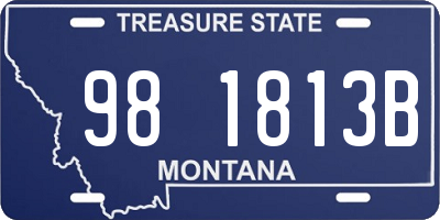MT license plate 981813B