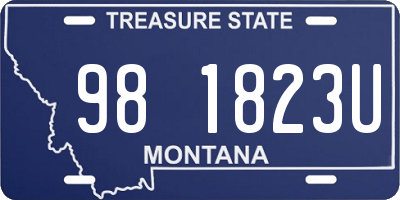 MT license plate 981823U