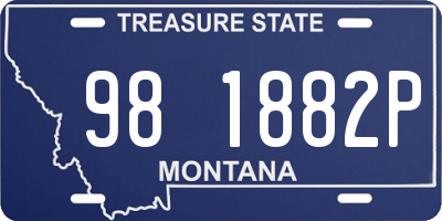 MT license plate 981882P