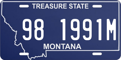 MT license plate 981991M